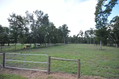 40617 Lg Lane, Brookshire, TX 77423 - Photo 2