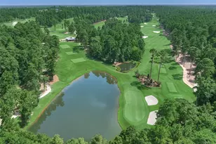 4415 Wynne Wy, Montgomery, TX 77316 - Photo 42