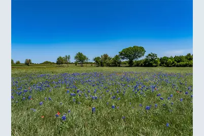 Tbd W Fm 1291 Tract 3, Round Top, TX 78954 - Photo 10