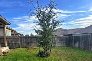 3227 Onion Crk, San Antonio, TX 78245 - Photo 12