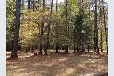 3210 Fm 3065, Colmesneil, TX 75938 - Photo 36