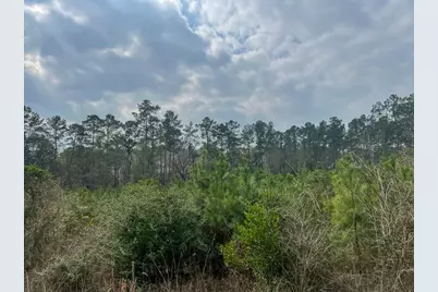 2 Union Springs Road, Corrigan, TX 75939 - Photo 12