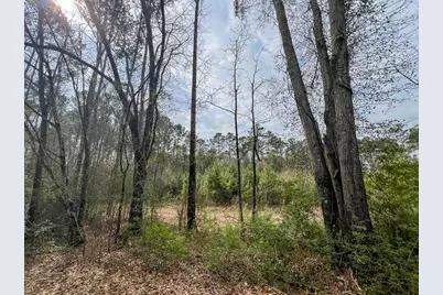 2 Union Springs Road, Corrigan, TX 75939 - Photo 14