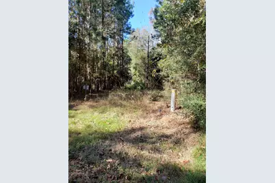 00000 County Road 2097, Liberty, TX 77575 - Photo 1