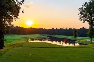 8915 Blackwoods Ct, Porter, TX 77365 - Photo 22