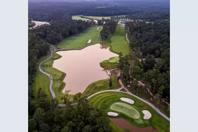 8915 Blackwoods Court, Porter, TX 77365 - Photo 16