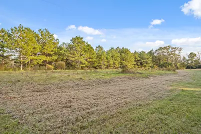 509 County Road 2096, Liberty, TX 77575 - Photo 6