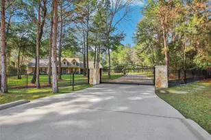 317 Ridge Lake Scenic Dr, Montgomery, TX 77316 - Photo 42