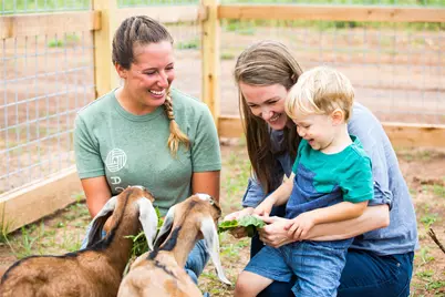 406 Lemon Drop Light, Richmond, TX 77406 - Photo 30