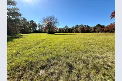 225 State Highway Loop 116, Livingston, TX 77351 - Photo 10