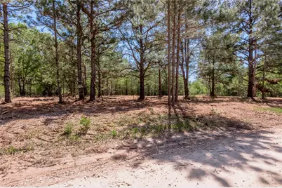 6077 000 Cr 4200, Pennington, TX 75856 - Photo 4