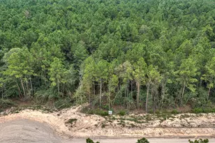 25011 Balmorhea Wy, Montgomery, TX 77316 - Photo 1