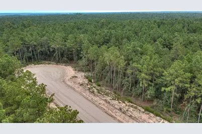 25011 Balmorhea Way, Montgomery, TX 77316 - Photo 2