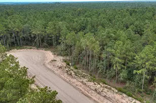 25011 Balmorhea Wy, Montgomery, TX 77316 - Photo 2