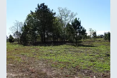 1350 Peters San Felipe Road, Sealy, TX 77474 - Photo 24