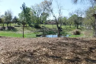 1350 Peters San Felipe Rd, Sealy, TX 77474 - Photo 1