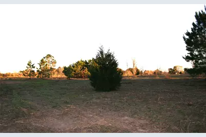 Tbd Peters San Felipe Road, Sealy, TX 77474 - Photo 4