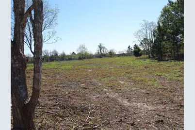 1350 Peters San Felipe Road, Sealy, TX 77474 - Photo 20