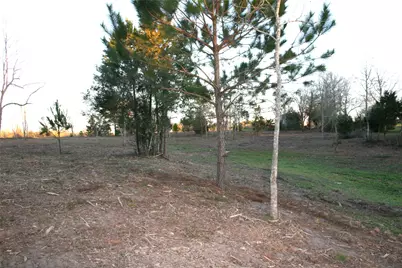 1350 Peters San Felipe Road, Sealy, TX 77474 - Photo 26