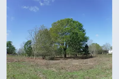 1350 Peters San Felipe Road, Sealy, TX 77474 - Photo 4