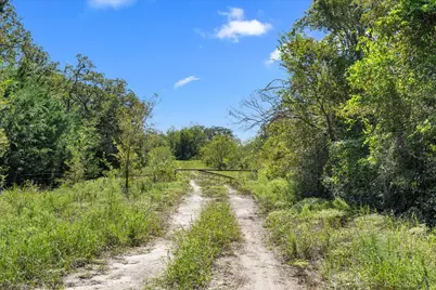 6625 N Old Smithville Road, Muldoon, TX 78949 - Photo 16