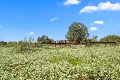 6625 N Old Smithville Road, Muldoon, TX 78949 - Photo 8