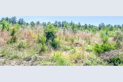T-3 Union Springs Road, Corrigan, TX 75939 - Photo 2
