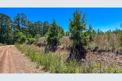 T-3 Union Springs Road, Corrigan, TX 75939 - Photo 6