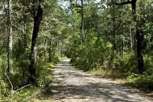 3670 Lakeview Cutoff St, Orange, TX 77662 - Photo 40