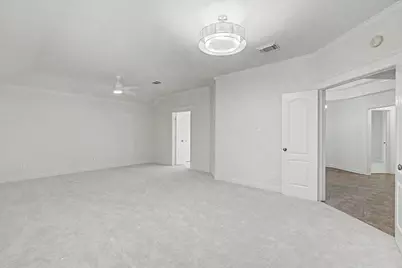 158 Lattice Gate Street, The Woodlands, TX 77382 - Photo 22