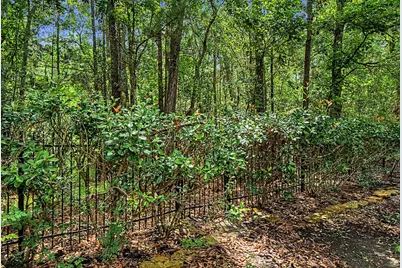 158 Lattice Gate Street, The Woodlands, TX 77382 - Photo 42