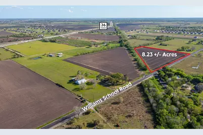 Tract 3 Williams School Road, Needville, TX 77461 - Photo 6