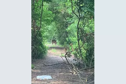 0 Cottonwood Cove Lane, Spring, TX 77380 - Photo 2