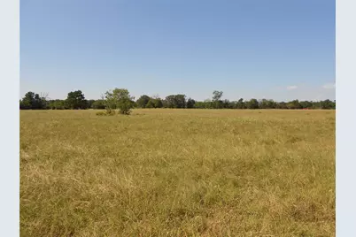 Tbd Turner Street, Groveton, TX 75845 - Photo 4