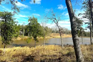 000 Cr 494, Jewett, TX 75846 - Photo 1