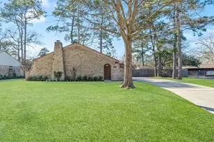 29031 Elmwood Dr, Shenandoah, TX 77381 - Photo 2