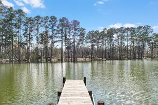 19701 W Lakeshore Dr, Magnolia, TX 77355 - Photo 10