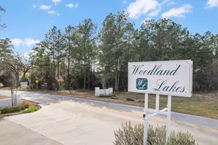 19701 W Lakeshore Dr, Magnolia, TX 77355 - Photo 8