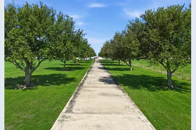 4207 Fm 1456 Road, Bellville, TX 77418 - Photo 4