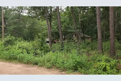 Lot 38 White Oak Drive, Plantersville, TX 77363 - Photo 18