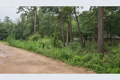 Lot 38 White Oak Drive, Plantersville, TX 77363 - Photo 24