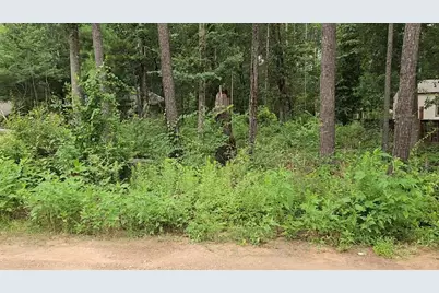 Lot 38 White Oak Drive, Plantersville, TX 77363 - Photo 16