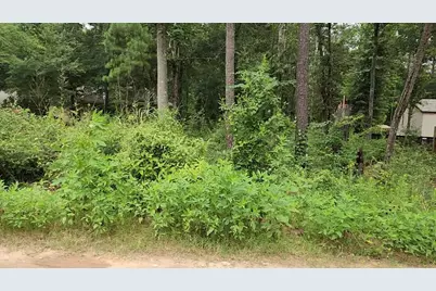 Lot 38 White Oak Drive, Plantersville, TX 77363 - Photo 14