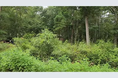 Lot 38 White Oak Drive, Plantersville, TX 77363 - Photo 12