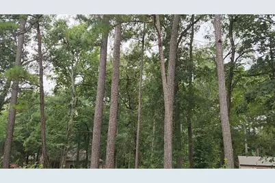 Lot 38 White Oak Drive, Plantersville, TX 77363 - Photo 20