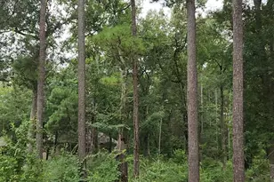 Lot 38 White Oak Dr, Plantersville, TX 77363 - Photo 1
