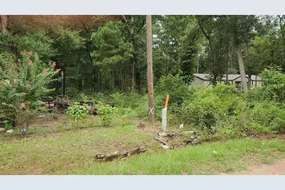 Lot 38 White Oak Drive, Plantersville, TX 77363 - Photo 6
