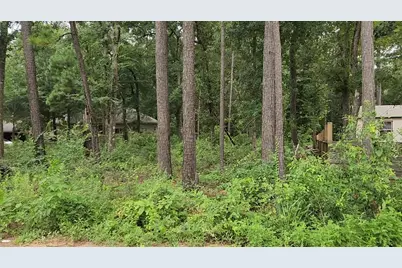 Lot 38 White Oak Drive, Plantersville, TX 77363 - Photo 2