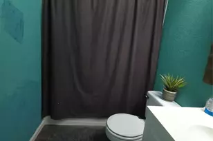 6402 Frosty Brook Dr, Houston, TX 77085 - Photo 14