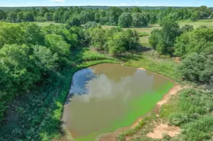 10815 FM 315, Poynor, TX 75763 - Photo 18